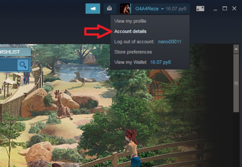 account details