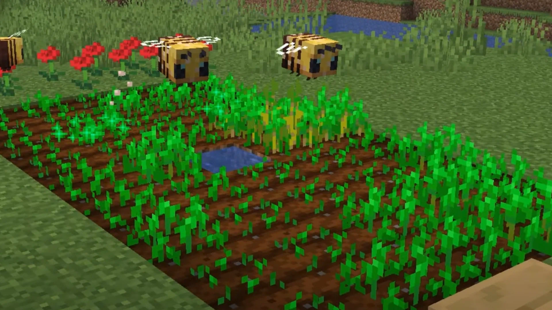 bees - رازهای مخفی ماینکرفت